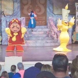 Meet your Posher, Dawn